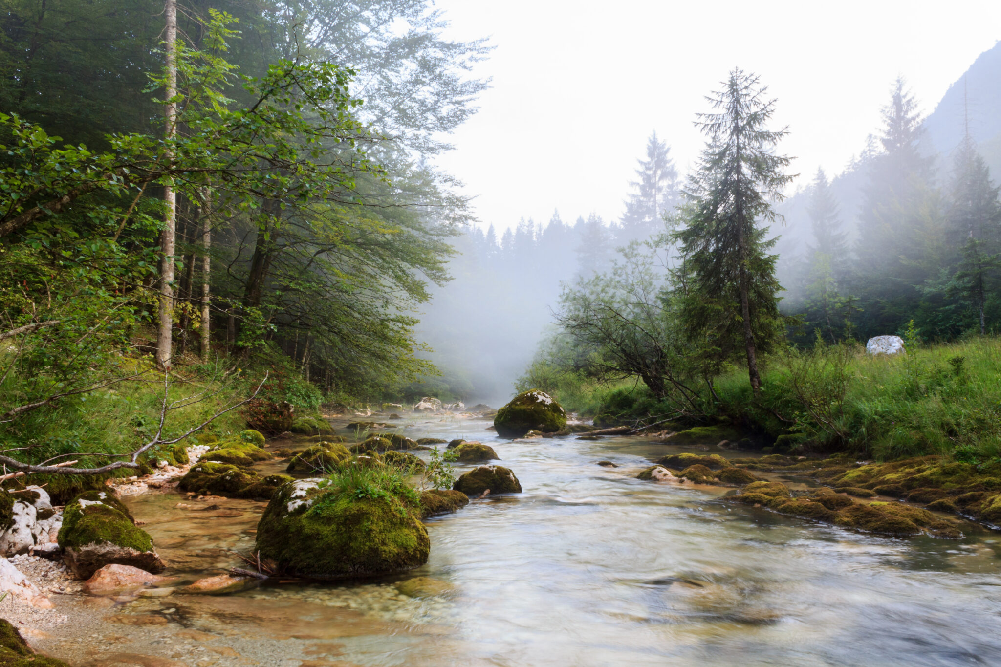 Mostnica canyon in Slovenia (Mostnice Korita)